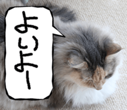 Instead tell the cat part4 sticker #13614640