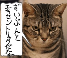 Instead tell the cat part4 sticker #13614661