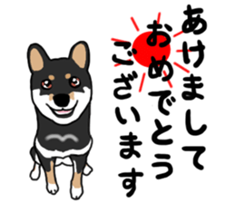 Black Miniature Shiba Inu HIME sticker #13616555