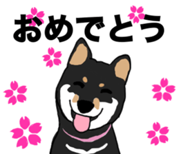 Black Miniature Shiba Inu HIME sticker #13616558
