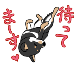 Black Miniature Shiba Inu HIME sticker #13616562