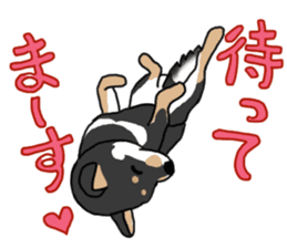 Black Miniature Shiba Inu HIME sticker #13616562