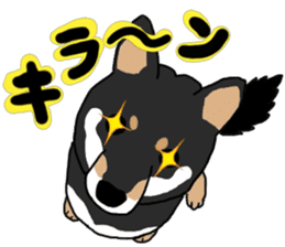Black Miniature Shiba Inu HIME sticker #13616566