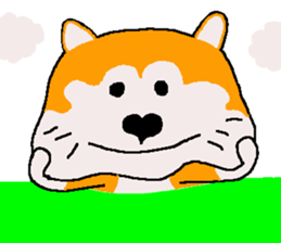 Shiba inu MOMO chan the third as well 36 sticker #13617026