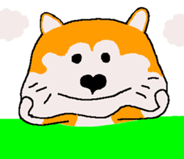Shiba inu MOMO chan the third as well 36 sticker #13617026