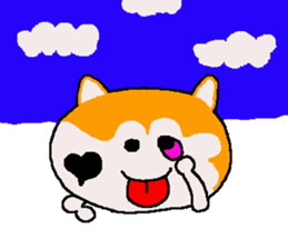 Shiba inu MOMO chan the third as well 36 sticker #13617027