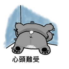 Koala hug sticker #13618068