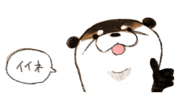 Playful otter sticker #13618149