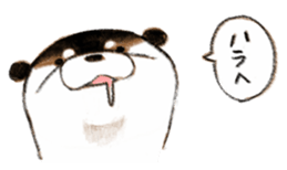 Playful otter sticker #13618156