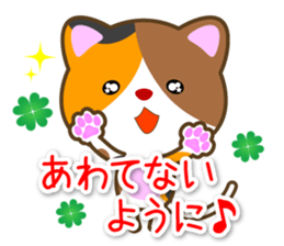 Waiting Cat "Dedicated waiting" sticker #13618347