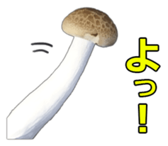 It's cute Shimeji! sticker #13618998