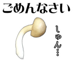 It's cute Shimeji! sticker #13619004