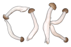 It's cute Shimeji! sticker #13619007