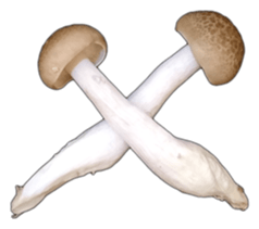 It's cute Shimeji! sticker #13619008