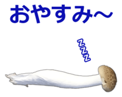 It's cute Shimeji! sticker #13619010