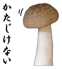 It's cute Shimeji! sticker #13619011