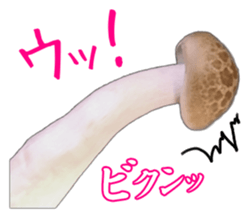 It's cute Shimeji! sticker #13619013