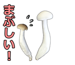 It's cute Shimeji! sticker #13619014