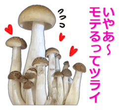 It's cute Shimeji! sticker #13619015