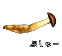 It's cute Shimeji! sticker #13619022