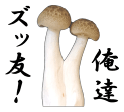 It's cute Shimeji! sticker #13619023