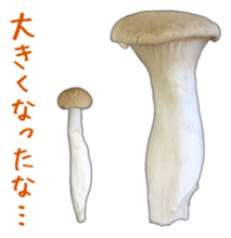 It's cute Shimeji! sticker #13619026