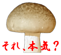 It's cute Shimeji! sticker #13619028