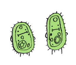 The Bacteria Brothers sticker #13620746