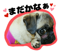 pug rapu 2 sticker #13621192