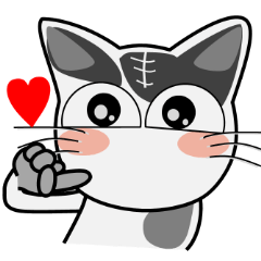 White&Black cat Lin 2nd