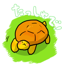 tortoise Sticker! sticker #13622134