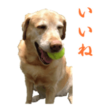 MakiCream Sticker Collection sticker #13622414