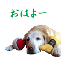 MakiCream Sticker Collection sticker #13622421