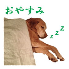 MakiCream Sticker Collection sticker #13622422