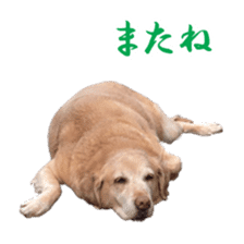 MakiCream Sticker Collection sticker #13622424