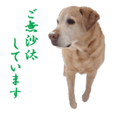 MakiCream Sticker Collection sticker #13622425