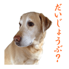 MakiCream Sticker Collection sticker #13622426