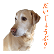 MakiCream Sticker Collection sticker #13622426