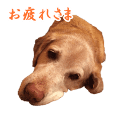 MakiCream Sticker Collection sticker #13622427