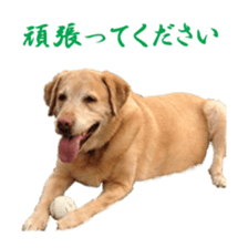 MakiCream Sticker Collection sticker #13622428