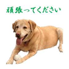 MakiCream Sticker Collection sticker #13622428