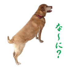 MakiCream Sticker Collection sticker #13622429