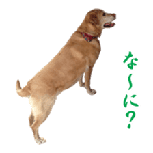 MakiCream Sticker Collection sticker #13622429