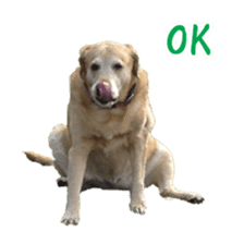 MakiCream Sticker Collection sticker #13622430