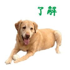 MakiCream Sticker Collection sticker #13622431