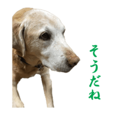 MakiCream Sticker Collection sticker #13622432