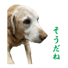 MakiCream Sticker Collection sticker #13622432