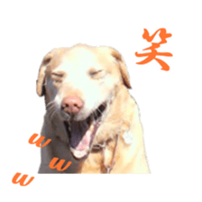 MakiCream Sticker Collection sticker #13622434