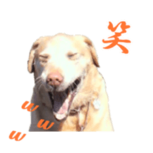 MakiCream Sticker Collection sticker #13622434