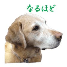 MakiCream Sticker Collection sticker #13622436